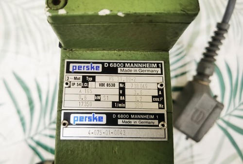2 perske spindle - 31.09-2,