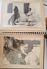 Vintage Fotoalbum Rennpferde