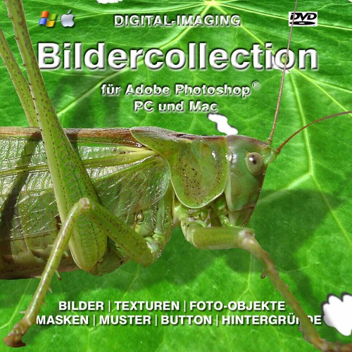 5000 lizenfreie bilder fotos - lizenfreie,