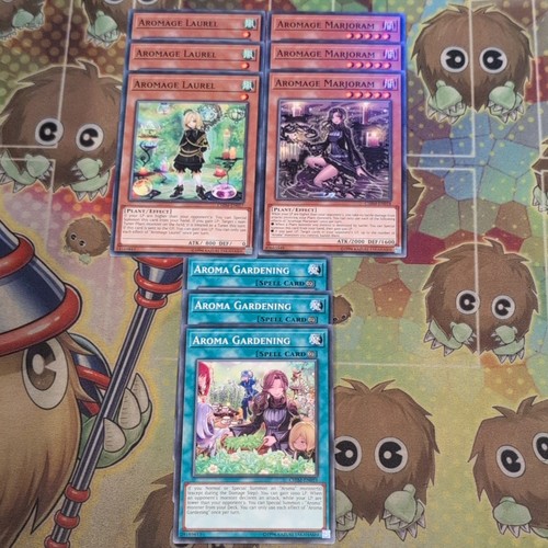 Aromage lorbeer majoran - majoran, &