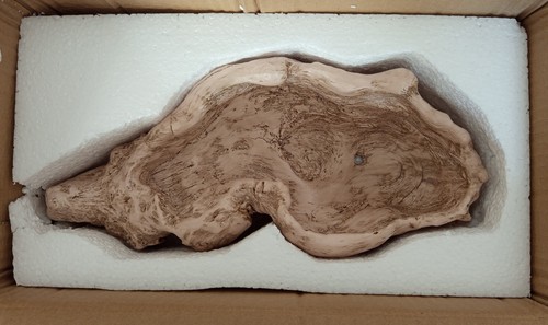 Pflanzschale baumwurzel aus - pflanzschale,