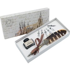 Feder Stifte Kalligraphie Set Anfänger Schönschreibfüller Schreibfedern 6 Stü...