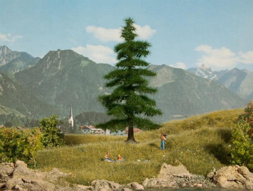 Noch 21811 nordmanntanne - h0,