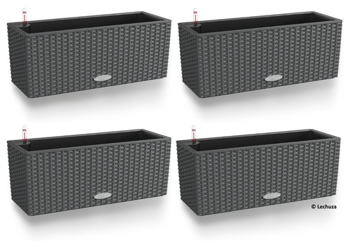 4er set lechuza - -,