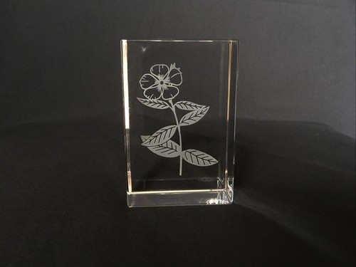 Baccarat briefbeschwerer - baccarat,