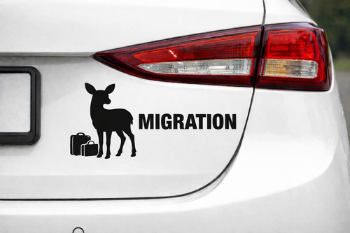 Neu remigration migration - migration, fun