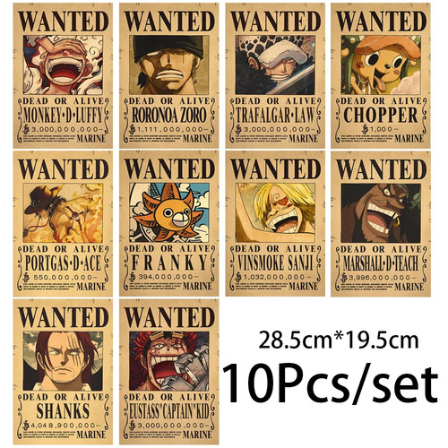 One piece wanted poster - one,