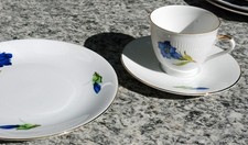 Kaffeegeschirr Enzian: 6 Tassen Winterling, 6 Untertassen u. 2 Teller Kronester