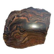 1,6Kg Stromatolith Rohstein