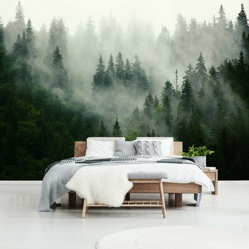 Wald nebel vlies fototapete - nebel,