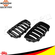 Sport Kühlergrill Nieren