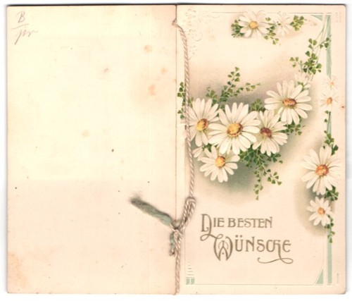 Glückwunschkarte margeriten - glückwunschkarte,