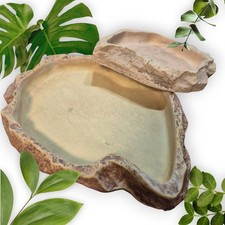 2x Exo Terra Felsschale