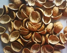 Ca.100 leere Walnusshälften Walnuss Schalen Dekoration Floristik Basteln Bemalen