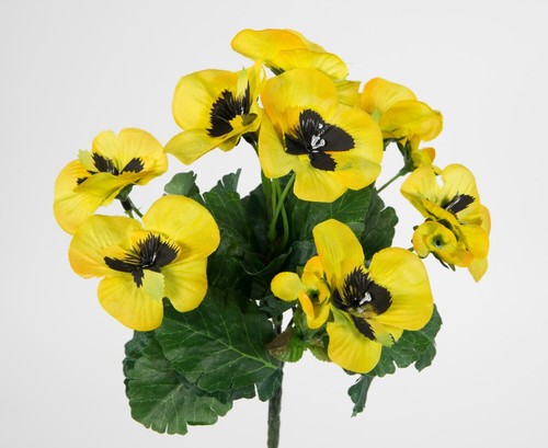 Stiefmütterchen 26cm gelb - , pm