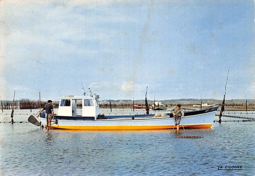 Bassin arcachon pinasse - bassin,
