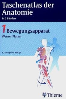 Thieme flexible