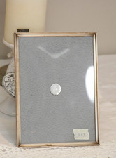 20,5 x 15,5 Prächtiger