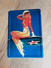 Blechschild Retro Pin Up Girl Postkarten Größe Vintage Nostalgie 14x10 Cm