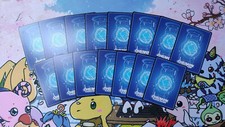 Digimon Sammlung 15 Tamer Karten