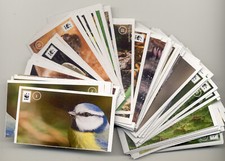 Unser Wald   (EDEKA / 2013):  -25- Sticker zum Aussuchen