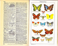 Der Volks-Brockhaus A-Z -  5