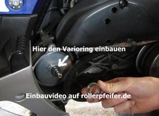 Mofadrossel Ersatzset Gilera Runner Stalker DNA Piaggio TPH NRG Diesis