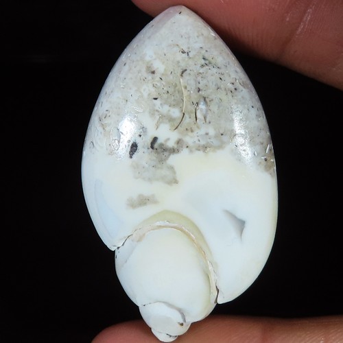 Natürlich fossil druzy - natürlich,