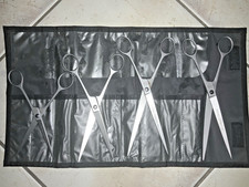 4 -teiliges EHASO Scherenset