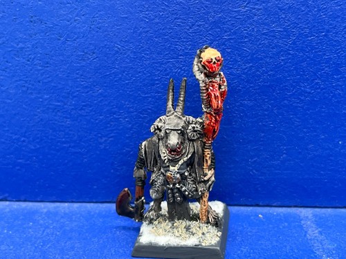 Schamane shaman der - /,