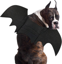 Hund Fledermaus Kostüme