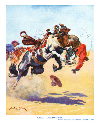 Bucked rodeo cowboy poster - bucked,