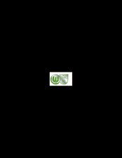 VFL Wolfsburg Pin Logo