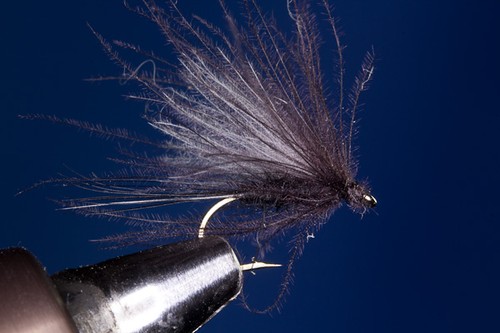 Fliegentom trockenfliege 3 - trockenfliege,