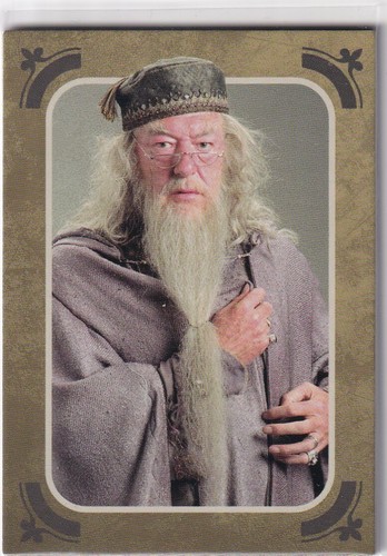 Panini harry potter evolution - panini,
