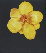 Jörg Immendorff. For All