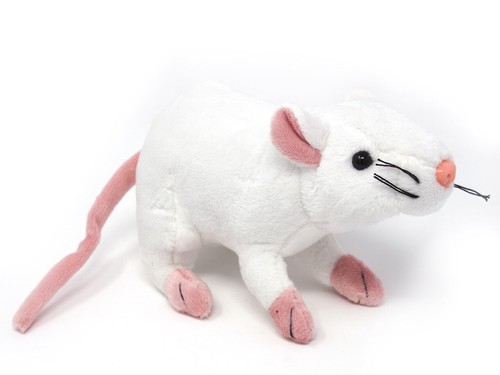 Kuscheltier weiße ratte - kuscheltier,