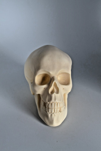 Totenkopf steinbruch skulptur - totenkopf,
