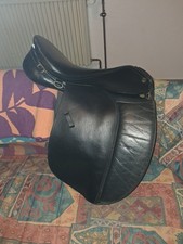 Massimo Dressur Tölt