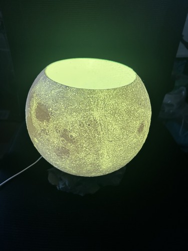 Mondlampe als vase für - vase,