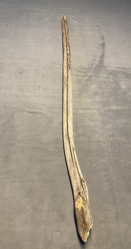 Treibholz driftwood - treibholz,
