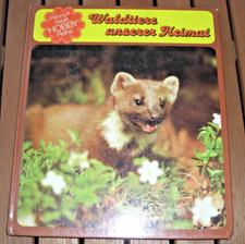 Waldtiere unserer Heimat