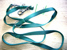 Hunde Führleine - Ferplast, 20 mm x 200 cm, Gr. L, grün +neu