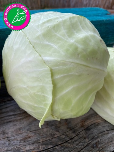 Kohlsamen - , 👨‍🌾