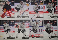 DEL Playercards 2024/2025 24/25 Kölner Haie Einzelkarten zum aussuchen