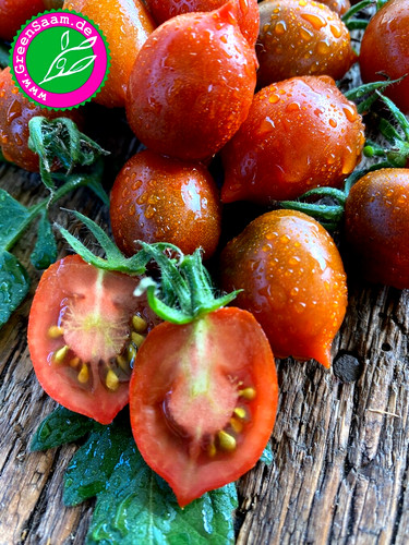 Tomatensamen paulina s - tomatensamen, 🍅