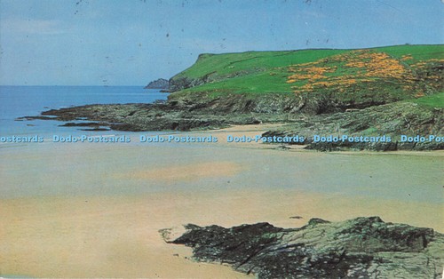 R705058 polzeath baby - r705058, polzeath.