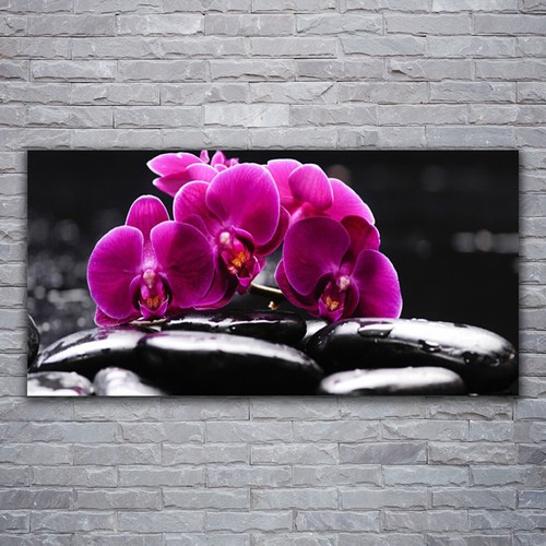 Acrylglasbilder wandbilder - acrylglasbilder,