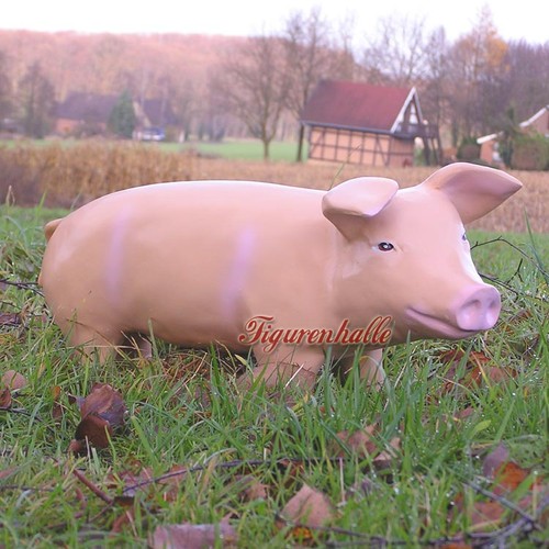 Schwein sau ferkel bauernhof - schwein,