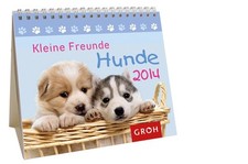 Kleine Freunde - Hunde 2014